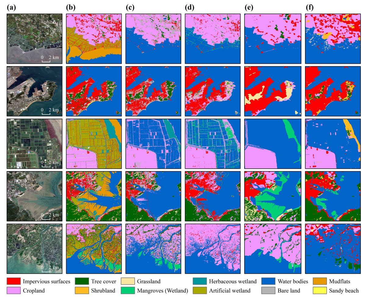 🆕Check out our latest #ScienceBulletin paper: The land-sea interface mapping: China's coastal land covers at 10 m for 2020. sciencedirect.com/science/articl…