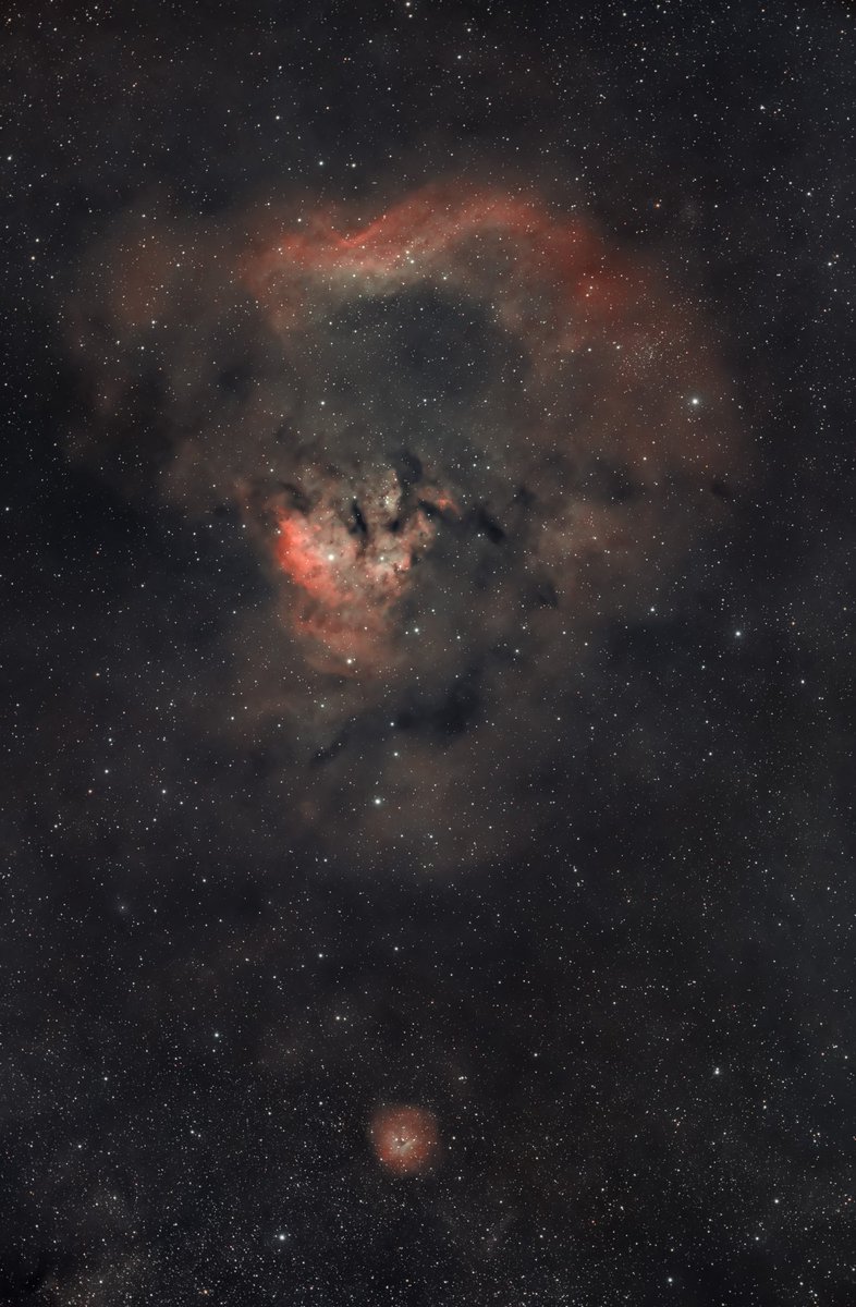 jzhnutz's tweet photo. NGC 7822 - reworked the color palette to a simulated SHO (still trying to figure out the changes in @AstroPixelProc for color, something feels different from a year ago) #astrophotography #astronomy #photography #CanonFavPic #radianraptor61 #CanonEOSRa #RhodeIsland https://t.co/2Tm9tDOWTK
