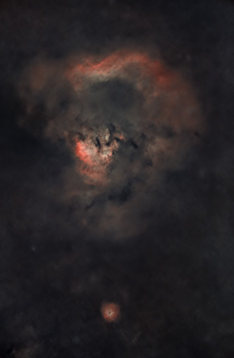 jzhnutz's tweet photo. NGC 7822 - reworked the color palette to a simulated SHO (still trying to figure out the changes in @AstroPixelProc for color, something feels different from a year ago) #astrophotography #astronomy #photography #CanonFavPic #radianraptor61 #CanonEOSRa #RhodeIsland https://t.co/2Tm9tDOWTK