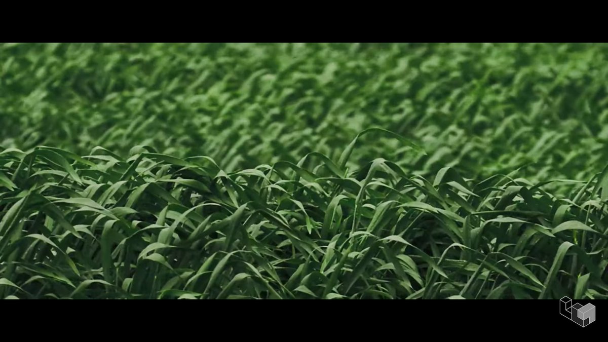 xunpremacy's tweet photo. ㅡ sixteenth 27th with chanyeol [072722] 

touch some 🌿🌿🌿 https://t.co/aT3oHZt9ie