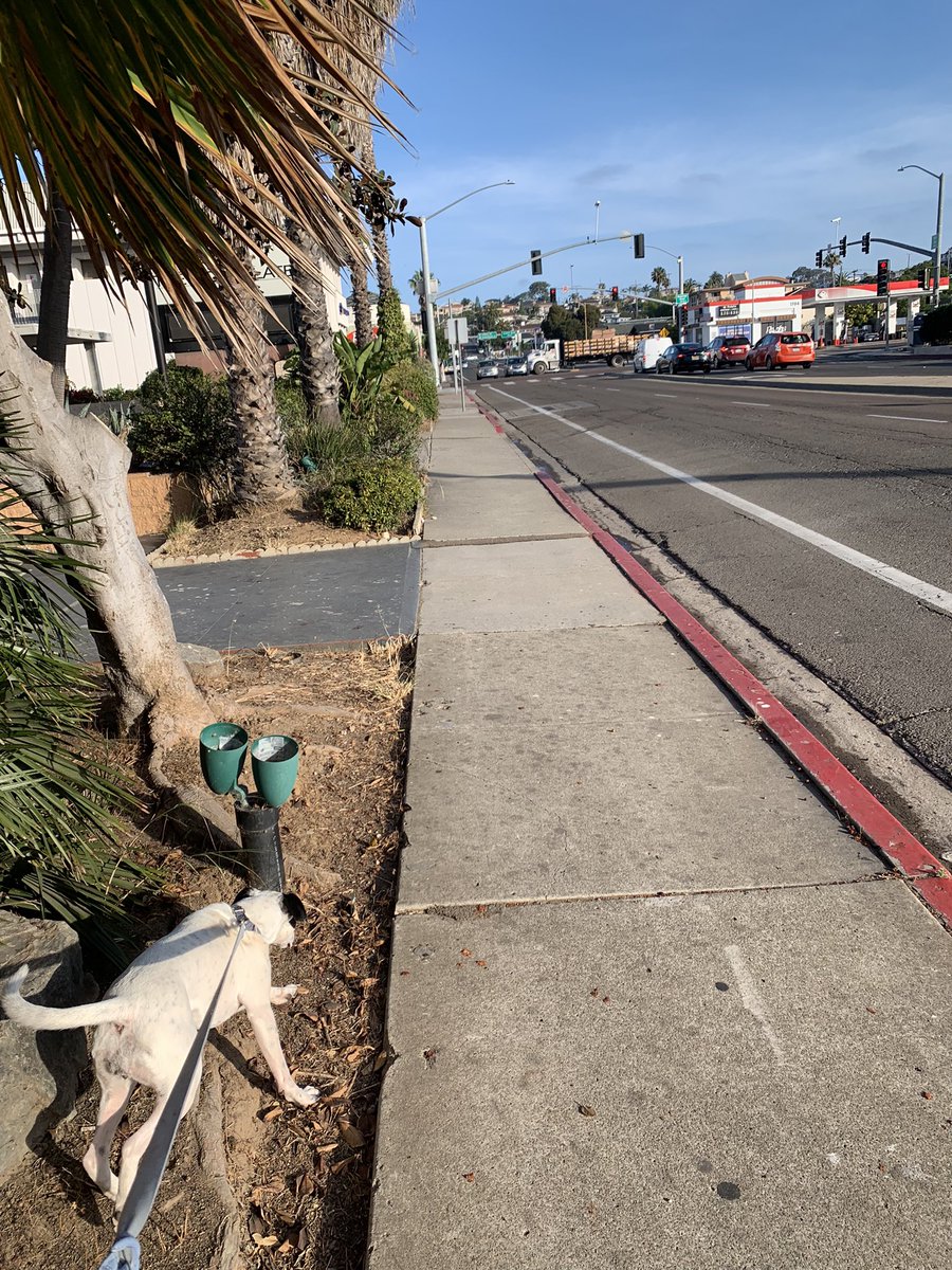 T0XIC ⚡️ tweet media