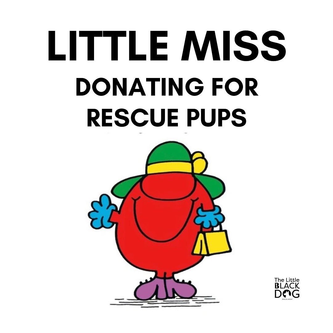 TLBDRescueGroup's tweet photo. Which one are you? Don’t forget to check out our silent auction THIS WEEKEND to donate for rescue pups! https://t.co/qVkIVaVlkP #littlemiss #AdoptDontShop https://t.co/NYTYDyE1yn
