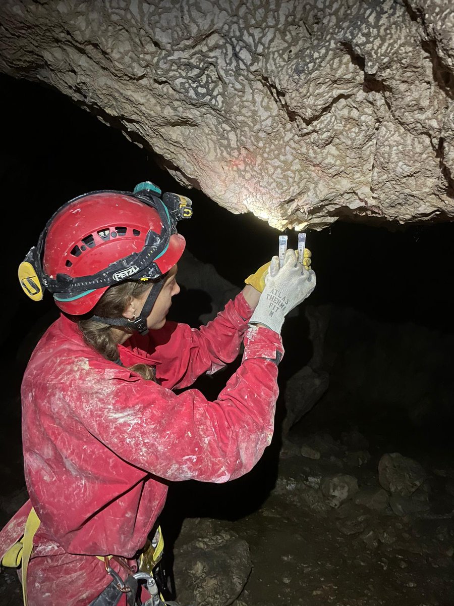 Dr. Erica Barlow tweet media