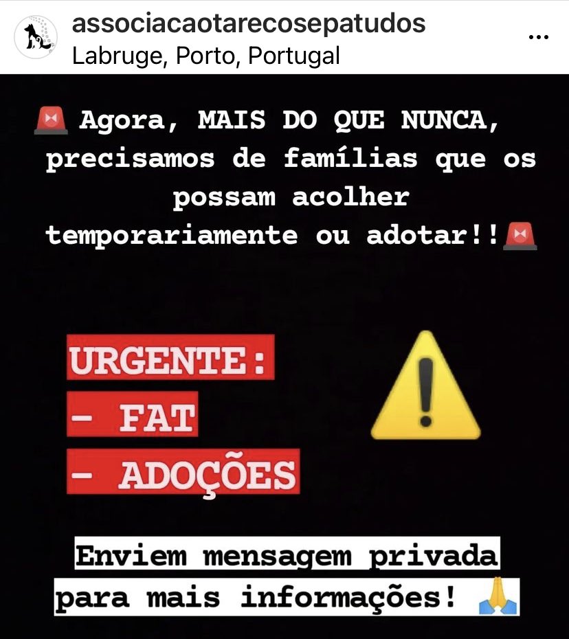 Pessoas bonitas do Twitter, esta situação está a pôr-me doente. A @associacaotarecosepatudos(insta) vai ter o terreno do abrigo retirado pela câmara(1.ºera setembro e depois trocaram as voltas). Têm até HOJE para arranjar FAT para os seus bichos até se reerguerem. #rtt por favor