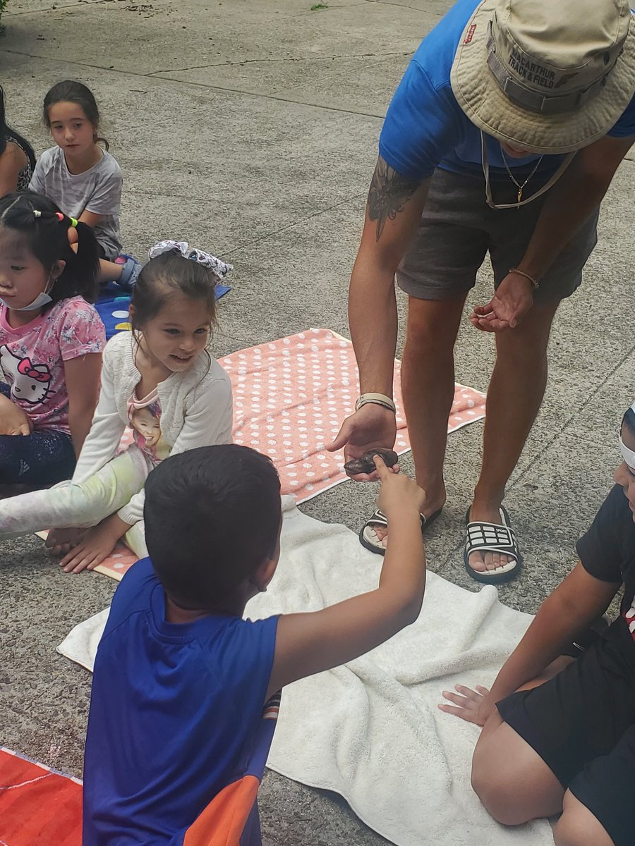 jfteach1's tweet photo. Oyster Bay Waterfront center comes to Mineola to teach us about sea animals with shells #mineolasummer https://t.co/M590lwLjc6