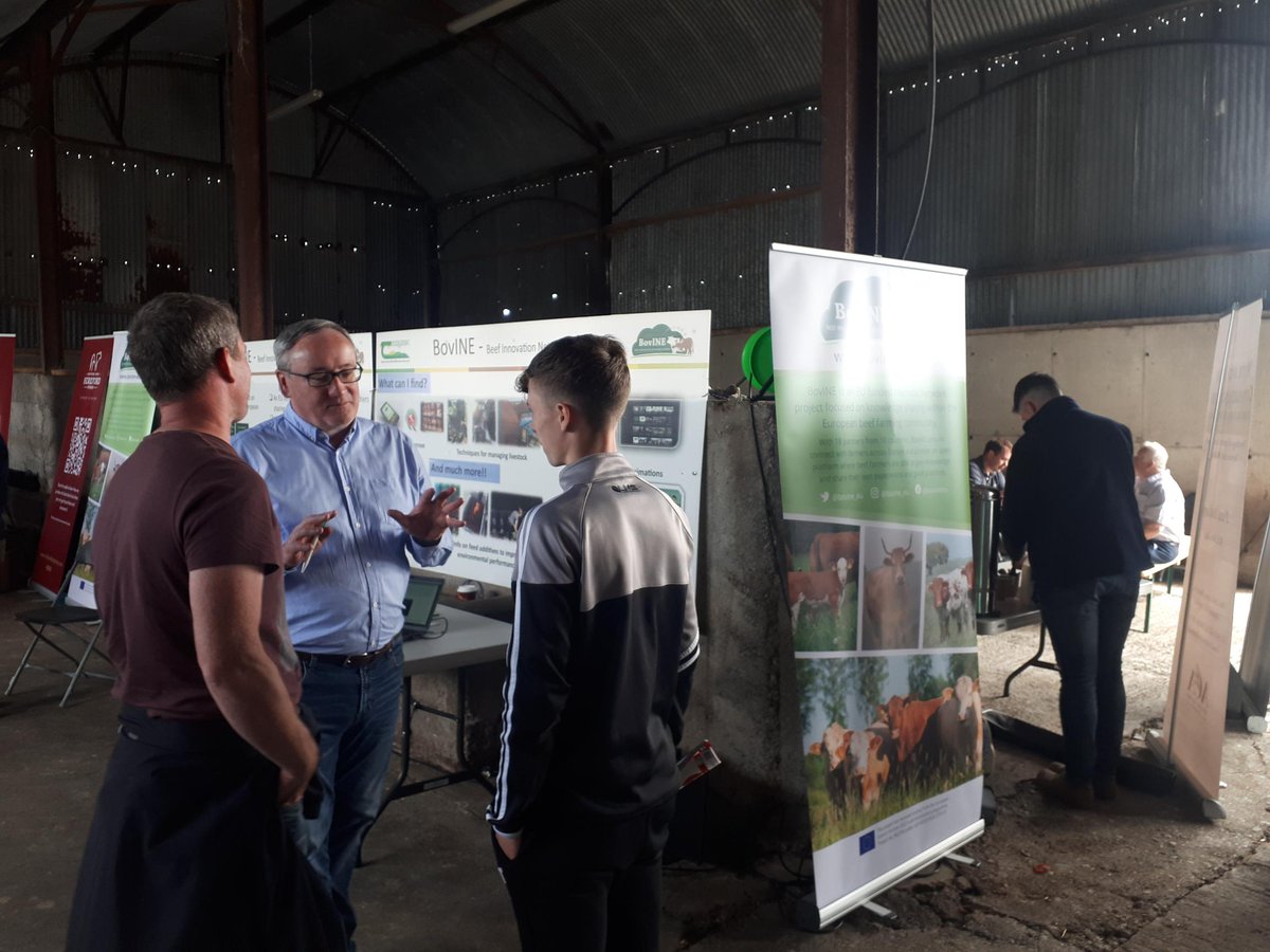 Presenting the @BovINE_eu projects findings to Irish beef and sheep farmers at the @Irishfarmersjournal Tullamore farm open day #beef #sustainability