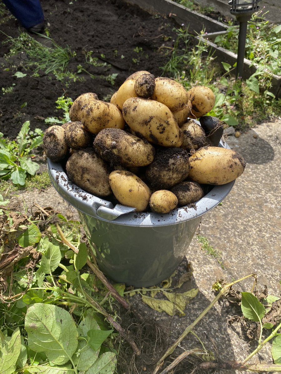 Greater Manchester Mental Health on Twitter "RT BramleyAmy22 Service