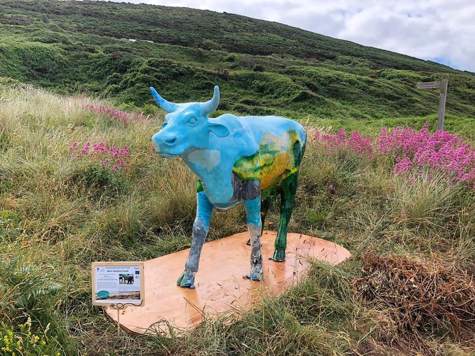 dynamicdunes's tweet photo. 🐮 The 'Cows on the Dunes' trail has returned to Woolacombe!

The trail has returned to raise awareness of the cows and the important work they do to support the dunes. You can read more about the trail and why we launched it last year, here https://t.co/rS3uq42j40 https://t.co/6CnG7USNmh