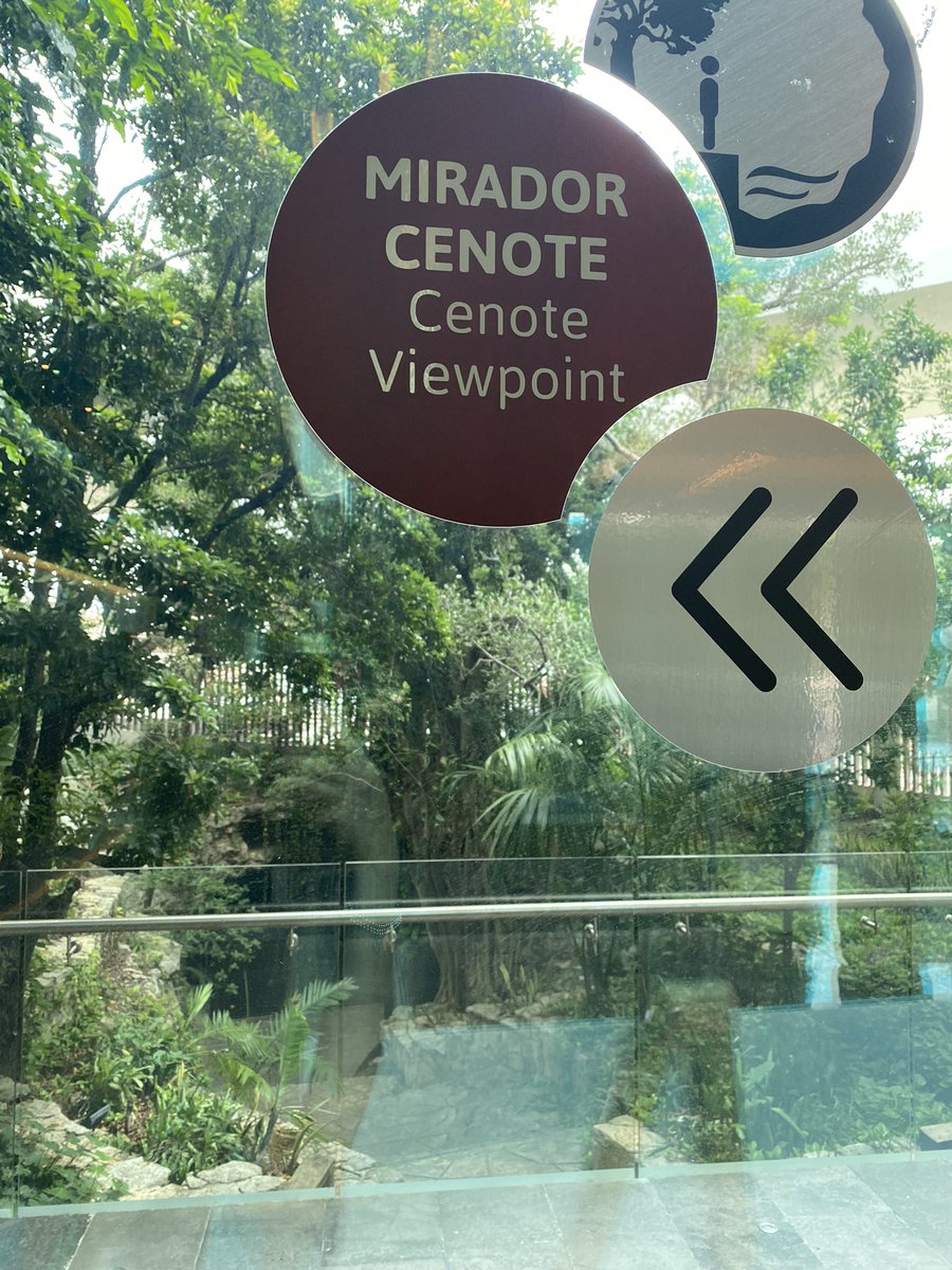doralv_'s tweet photo. Great council session @CECweb in Mérida 🇲🇽 this year!
Many meetings, planning & work behind this campaign! It was great to be able to see it unfold & get to meet & network with #Youth4Innovation winners 🏆, #JPAC members & ministers of 🇨🇦🇺🇸🇲🇽 great experience #CEC29 done 💪🏼 ✅ https://t.co/LdP15hu0fv