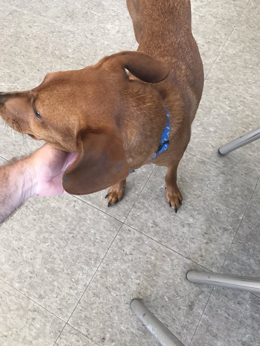 Josh Taylor tweet media