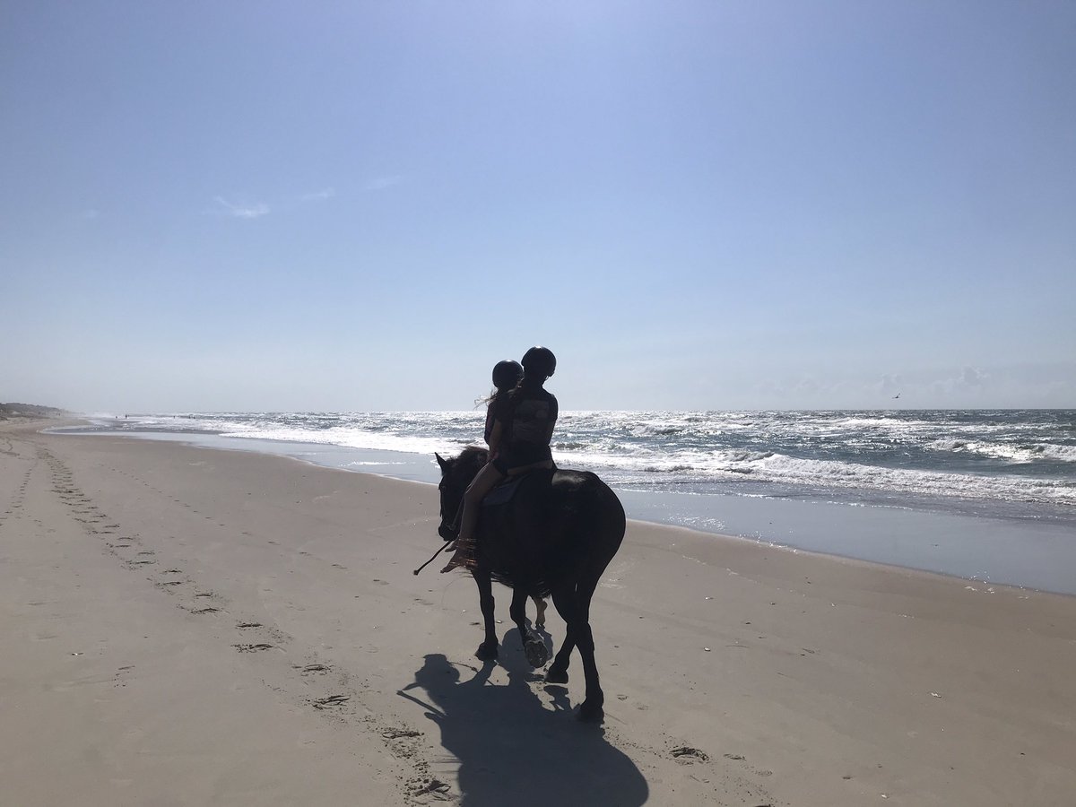 Josh Taylor tweet media