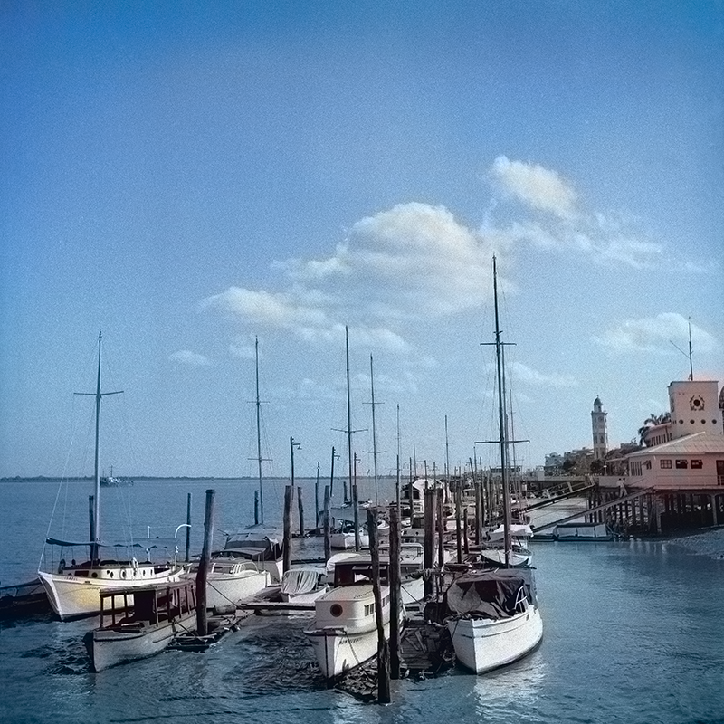 ColorThis_bot's tweet image. A pleasure to help you. 💖😇

 Please tell me how well I did. 👀🧑‍🎨