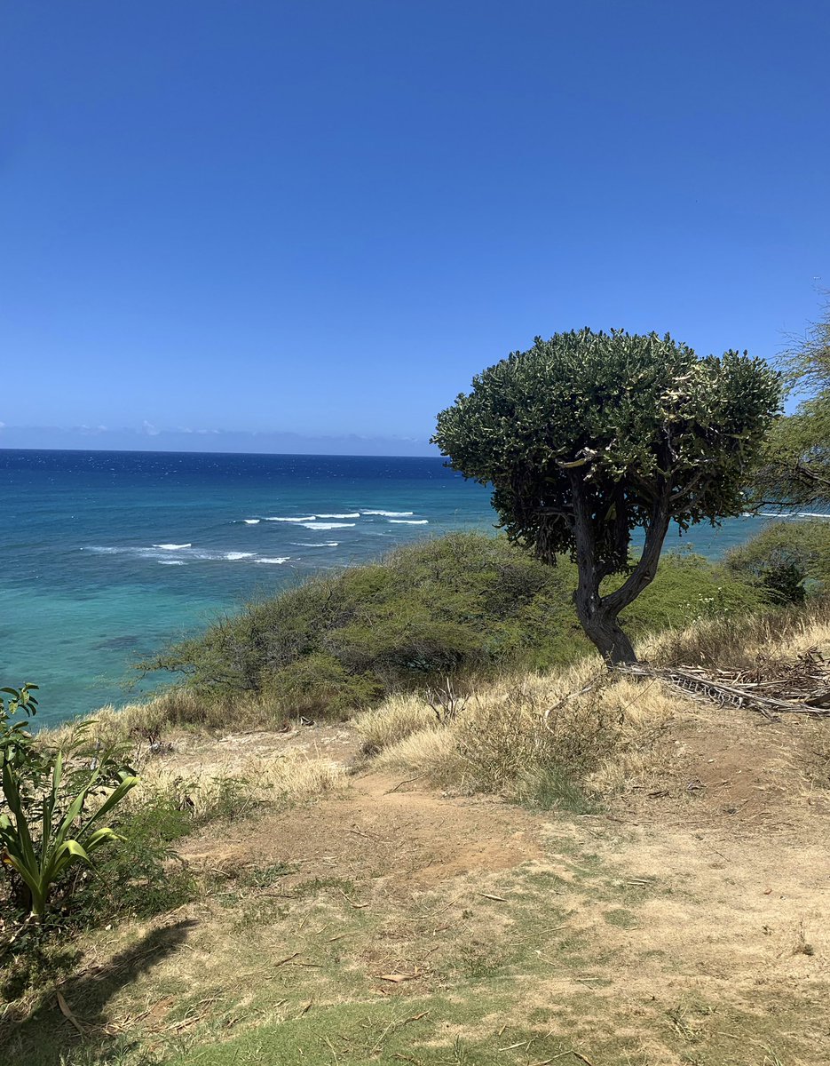 stellagioia's tweet photo. My healing place…💙
#Hawaii #DiamondHead #Oahu #LookAtThoseColors #Beautiful https://t.co/FG0OKQlPDE