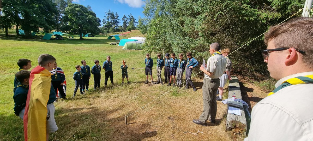 103 Braid Scouts tweet media