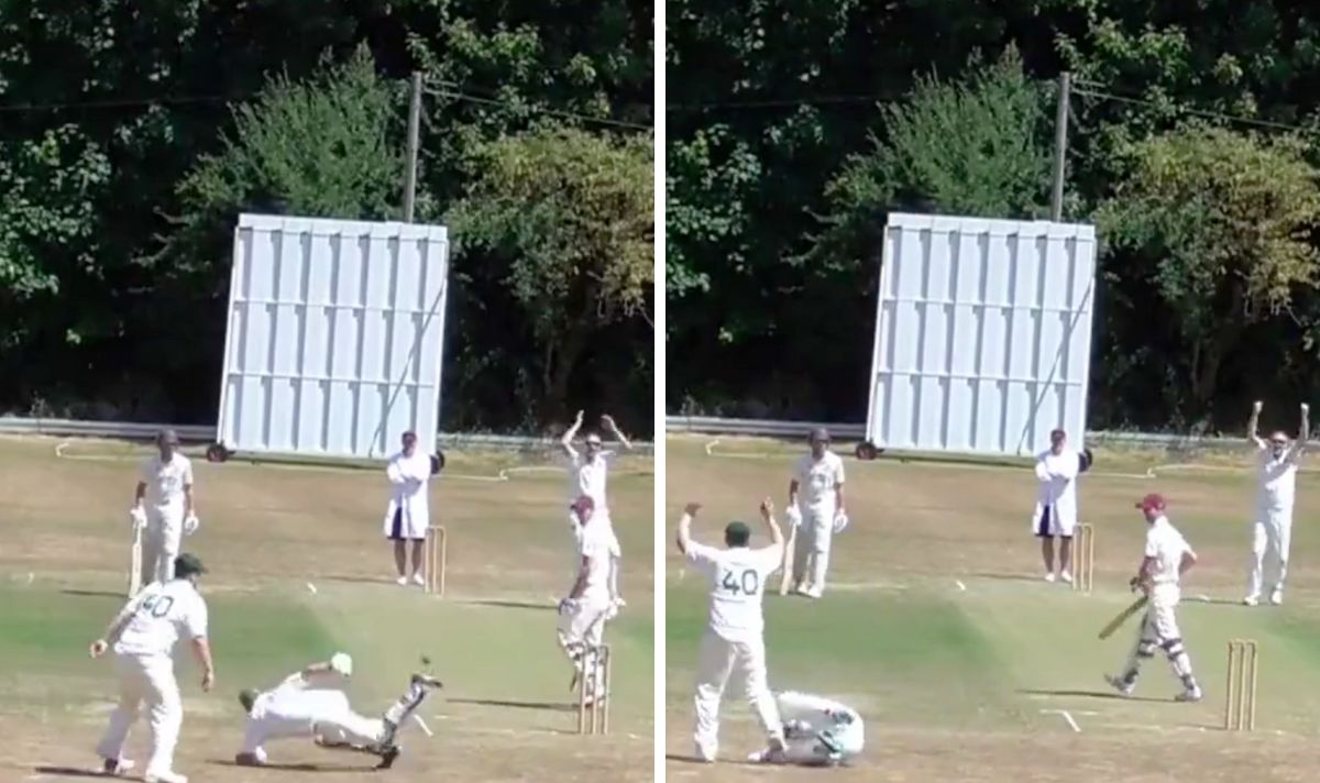 Mirror Sport on Twitter "Cricketer takes 'greatest catch of all time