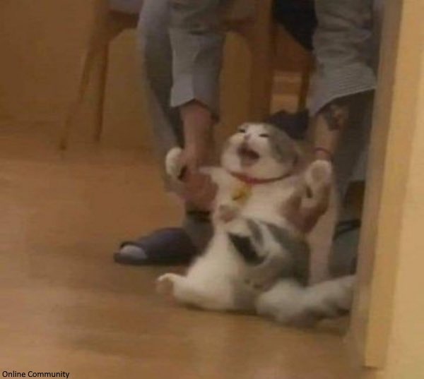 Libra https://t.co/N88YFzrKC8