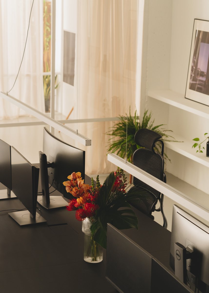 Spot Studio tweet media