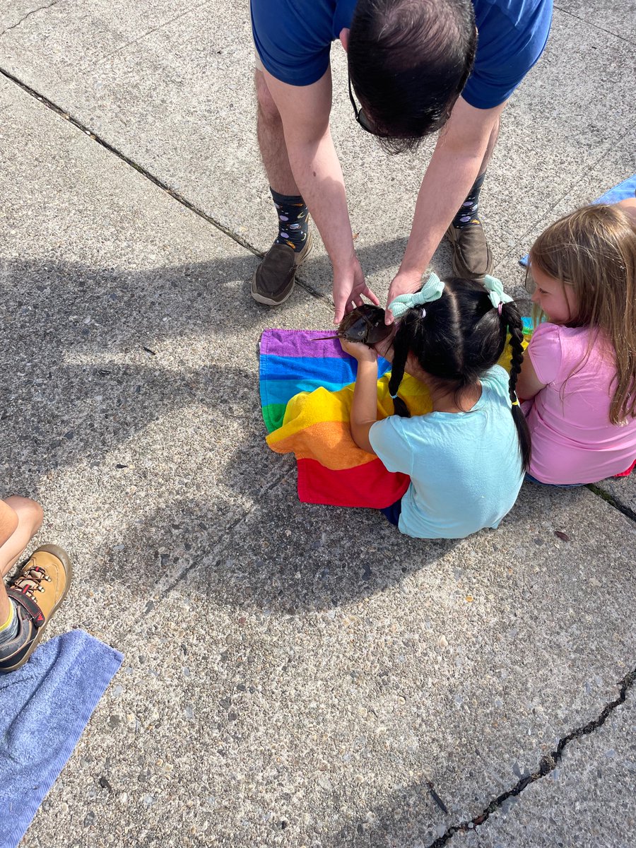 MissBauer9's tweet photo. Thank you to Oyster Bay @thewaterfrontcenter for coming out to teach us about some interesting ocean animals ๐ฆ #MineolaSummer https://t.co/KKMv8PEtZ4