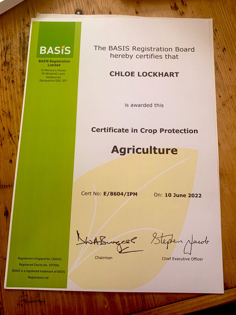 Chloe Lockhart tweet media