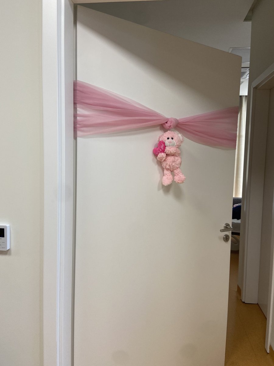 asmahbi2's tweet photo. Took a tour of the hospital layout and departments visiting the neonates unit where we got to meet a new mum and baby. They have the saying Aty ku mrekullia fillon…… which translates in English as ‘where miracles begin/happen’! https://t.co/8oQKAun19K