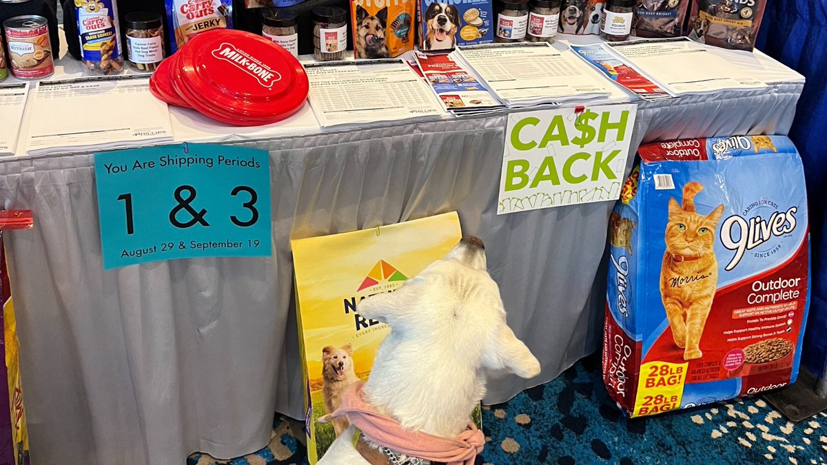 bougiebarks's tweet photo. Like a kid in a candy store...but a puppy at the @PhillipsPetFood buyers show. Navy had the time of her life sampling everything and anything!

#petbusiness #DogsOnTwitter #dogs #dogtreats #dogfood https://t.co/bnqtC2rYgc