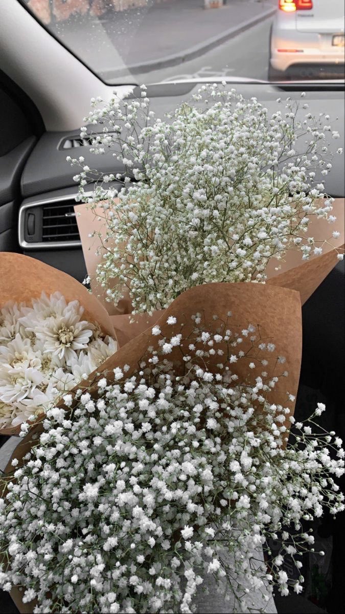 liviuuh's tweet photo. baby’s breath flowers > https://t.co/E2CgzGO3yY