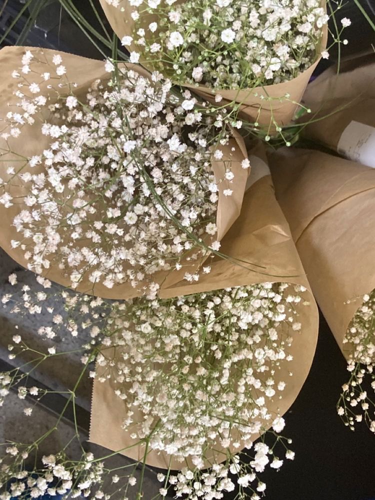 liviuuh's tweet photo. baby’s breath flowers > https://t.co/E2CgzGO3yY