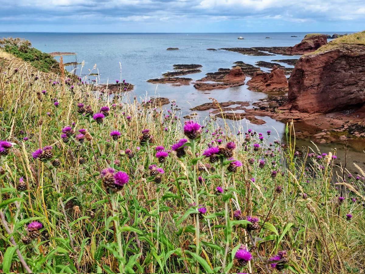 Walking the John Muir Way
#nature #discovery #Scotland #coastline