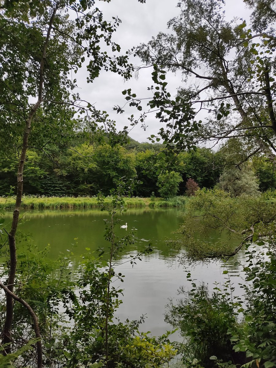 PENELOPPE192's tweet photo. Sublime journée rando aujourd'hui.. Écouter, sentir, observer, prendre le temps de saisir l'instant, découvrir que les arbres ont compris que l'eau c'est la vie et que tout est sous tes yeux si tu as envie de voir vraiment, comprendre la nature c'est connaître l'humanité.. https://t.co/1GFKT7ZobV