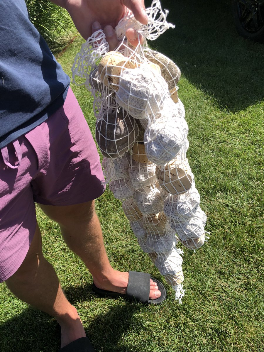 Super stoked to have the Rigero Bio Health pond treatment system again here at Watermark Country Club to prevent a repeat of pump problems related to taking in debris. The green algae disappearing  soon will be a plus too! Thanks Russ Tackett &amp; crew for getting the sediment gone!