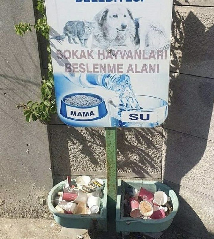 Eğitim ve kültür eksikliğini yansıtan en iyi fotoğraf olabilir.