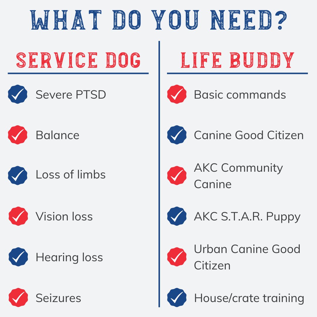 Sierra Delta: Service | Dogs | Veterans tweet media