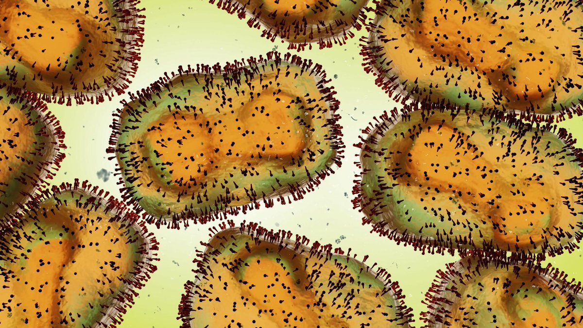 College Library (@college_library) on Twitter photo If you would like more information on monkeypox, <a href="/UHSMadison/">UHS UW-Madison</a> has a new webpage: uhs.wisc.edu/medical/monkey… #beinformed If you would like more information on monkeypox, <a href="/UHSMadison/">UHS UW-Madison</a> has a new webpage: uhs.wisc.edu/medical/monkey… #beinformed