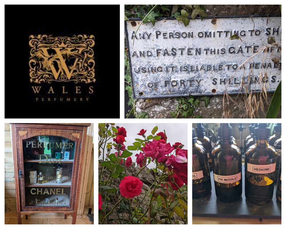 Samantha Scriven (@iscentyouaday) on Twitter photo I am delighted to see that my home country has its very first perfumery. <a href="/WalesPerfumery/">Wales Perfumery</a> launches Coast, Country and Forest by founder Louise Smith. Having been raised here, I confirm that all 3 really capture our beloved homeland tinyurl.com/ISwalesP <a href="/WalesOnline/">WalesOnline 🏴</a> <a href="/visit_mon/">Visit Monmouthshire</a> I am delighted to see that my home country has its very first perfumery. <a href="/WalesPerfumery/">Wales Perfumery</a> launches Coast, Country and Forest by founder Louise Smith. Having been raised here, I confirm that all 3 really capture our beloved homeland tinyurl.com/ISwalesP <a href="/WalesOnline/">WalesOnline 🏴</a> <a href="/visit_mon/">Visit Monmouthshire</a>