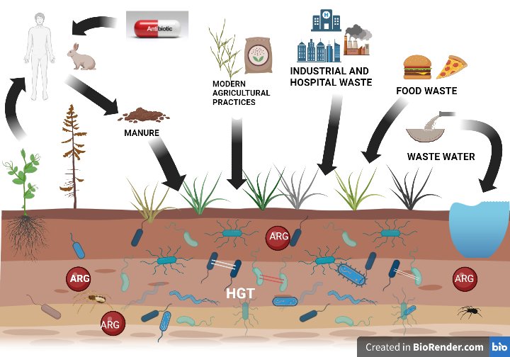 Soil microbiome influencing the spread of Anti-microbial resistant genes. <a href="/BioRender/">BioRender</a> <a href="/QSL_SASTRA/">Quorum Sensing Lab @ SASTRA</a>