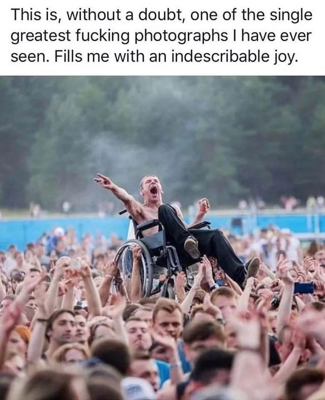 WholesomeMeme's tweet image. 