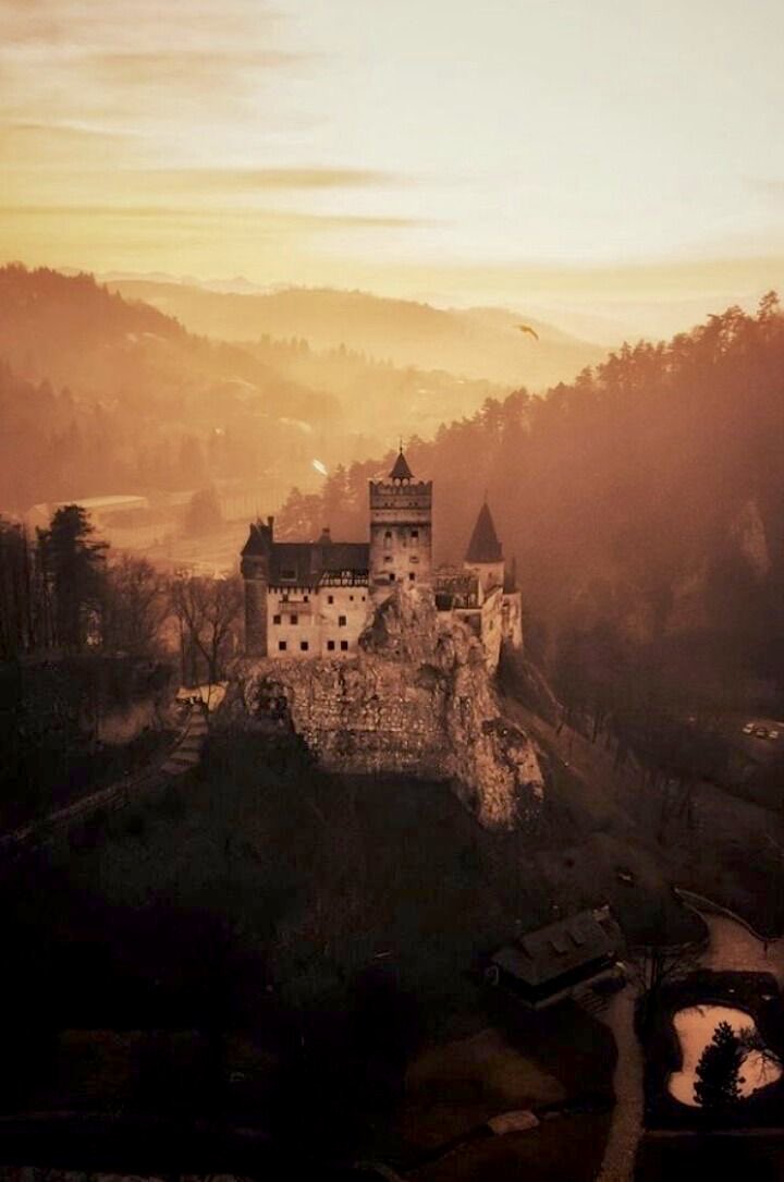 𝔈𝔮𝔲𝔞𝔱𝔢 𝔗𝔥𝔢 𝔇𝔦𝔰𝔰𝔬𝔫𝔞𝔫𝔠𝔢 tweet media