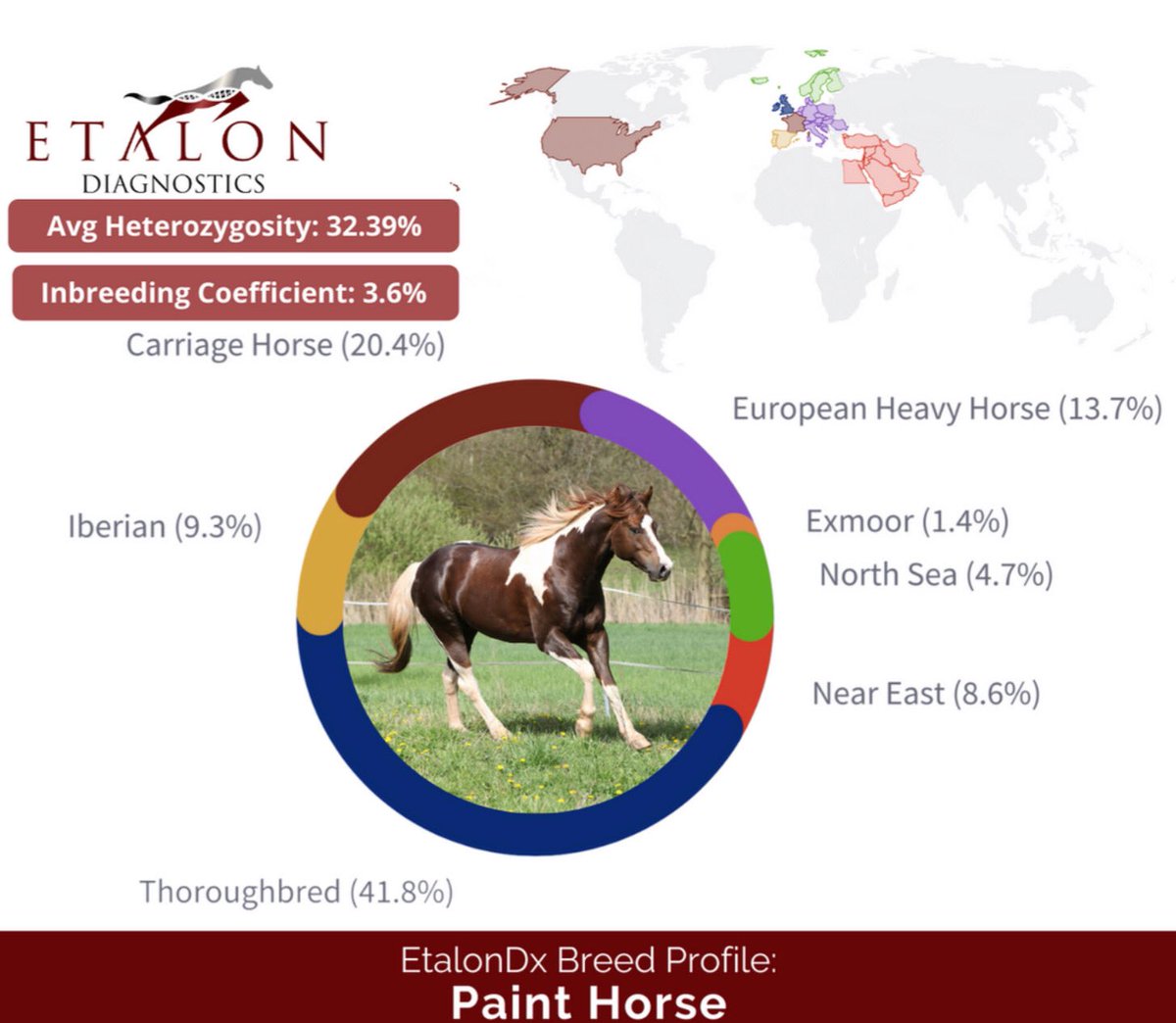 Have you explored the latest Ancestry features on our website? Data from horses all around the world will enable our clients to connect and explore. This new feature can unlock horse profiles most like yours (in genetic composition) as well as identifying actual relatives! 🐴🧬