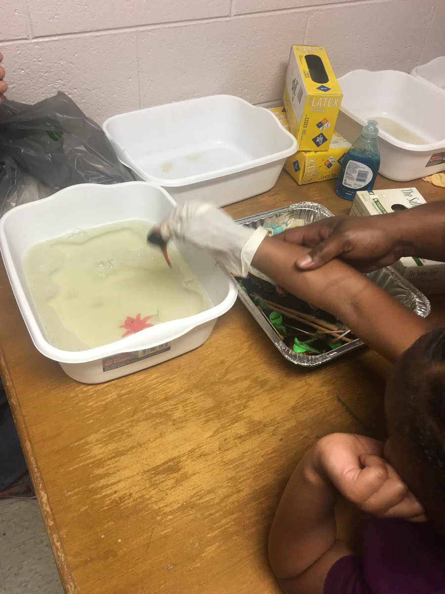 Timeless Learning tweet media