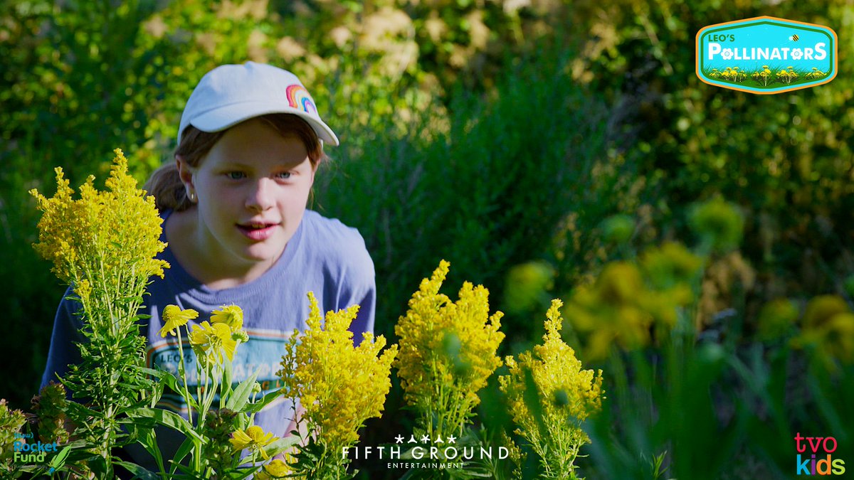 Leo's Explorer Club (@explorerclubtv) on Twitter photo This week, Chloe will be meeting with Aimee from <a href="/ParksCanada/">Parks Canada</a>, and Cheryl Bryce, at Fort Rodd Hill and Fisgard Lighthouse National Historic Site to learn more about our busy & buzzy friend, the Leafcutter Bee! This week, Chloe will be meeting with Aimee from <a href="/ParksCanada/">Parks Canada</a>, and Cheryl Bryce, at Fort Rodd Hill and Fisgard Lighthouse National Historic Site to learn more about our busy & buzzy friend, the Leafcutter Bee!