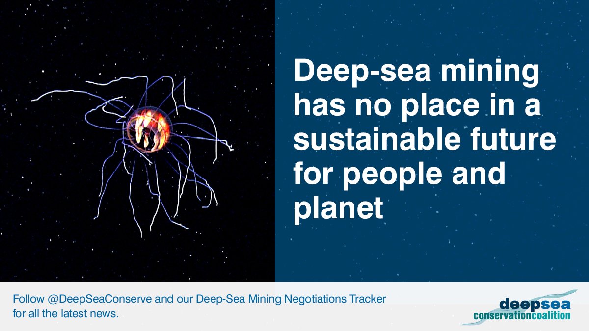 NoDeepSeaMining's tweet image. #DeepSeaMining is not needed, wanted or worth the risk. @ISBAHQ continue their rush to mine the deep, but it is not too late to stop this race to the bottom. We must #KeepItInTheDeep and say #NoDeepSeaMining! Follow @DeepSeaConserve for all the news bit.ly/3OM4Cq5