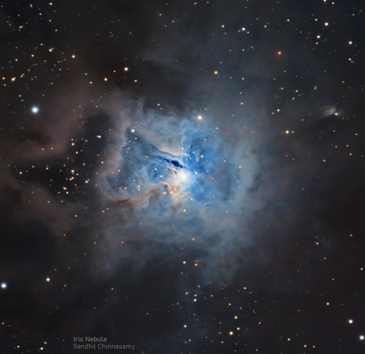 Iris Nebula (NGC 7023) is a reflection nebula (in Cepheus constellation), which means its color comes from the scattered light of its central star.

Total exposure: ~48h

Edge 11HD (at 2800mm) 
QHY268M
LiteCrawler
Chroma LRGB and Ha filters
AP900 mount.

<a href="/QHYCCD/">QHYCCD</a>
<a href="/Celestron/">Celestron</a>