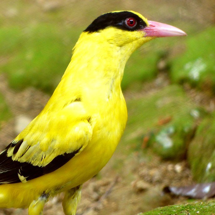 ✨Life imitates art✨😎