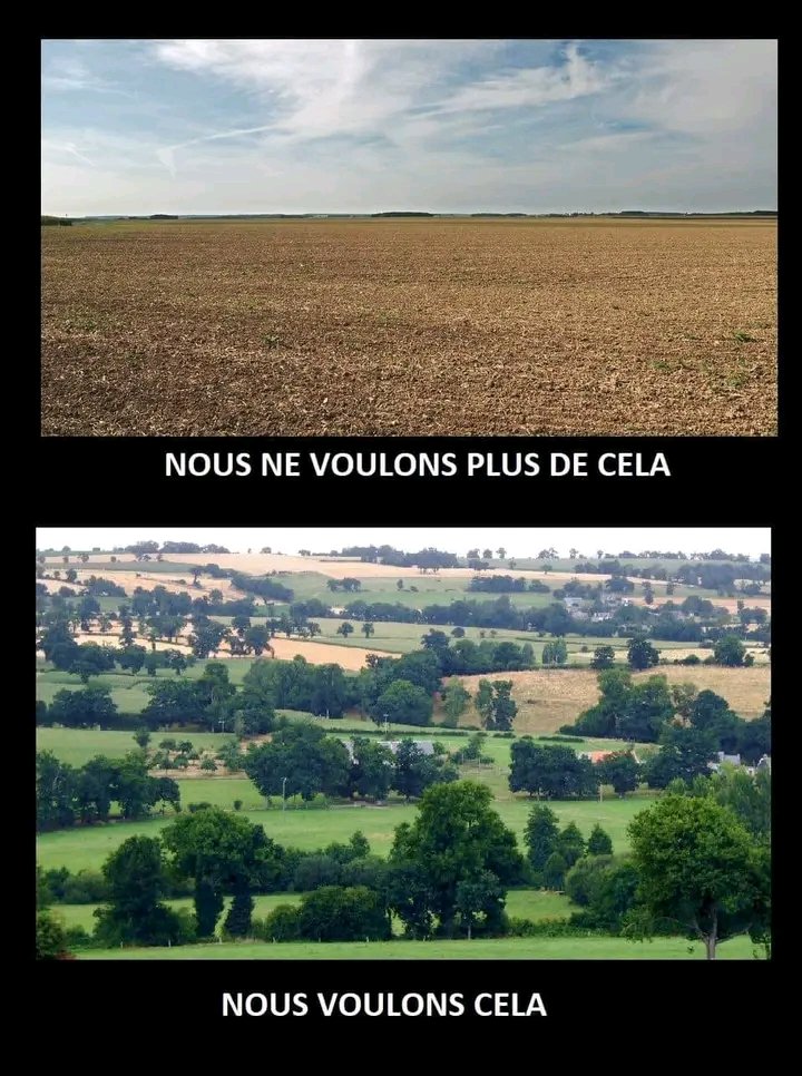 Madiop Diop 🇸🇳 (@Madiopdiop8) on Twitter photo 2022-07-26 21:48:07 Nous ne voulons plus cela... Mais nous voulons cela ! 🌳✨🌍 Crédit photo 📷 spirit of- surfing #senegal #ClimateEmergency #ClimateCrisis #ClimateAction #deforestation @Faatu_F @_1m80_ @AthenaMinerve12 @abdourami @AbdoulayeDiant2 @ABG_49 Nous ne voulons plus cela... Mais nous voulons cela ! 🌳✨🌍 Crédit photo 📷 spirit of- surfing #senegal #ClimateEmergency #ClimateCrisis #ClimateAction #deforestation @Faatu_F @_1m80_ @AthenaMinerve12 @abdourami @AbdoulayeDiant2 @ABG_49