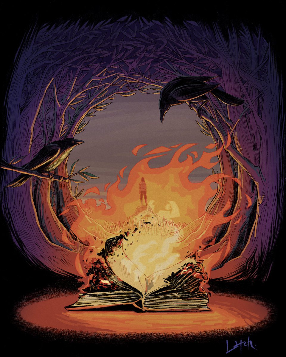 bird fire book tree no humans nature burning  illustration images