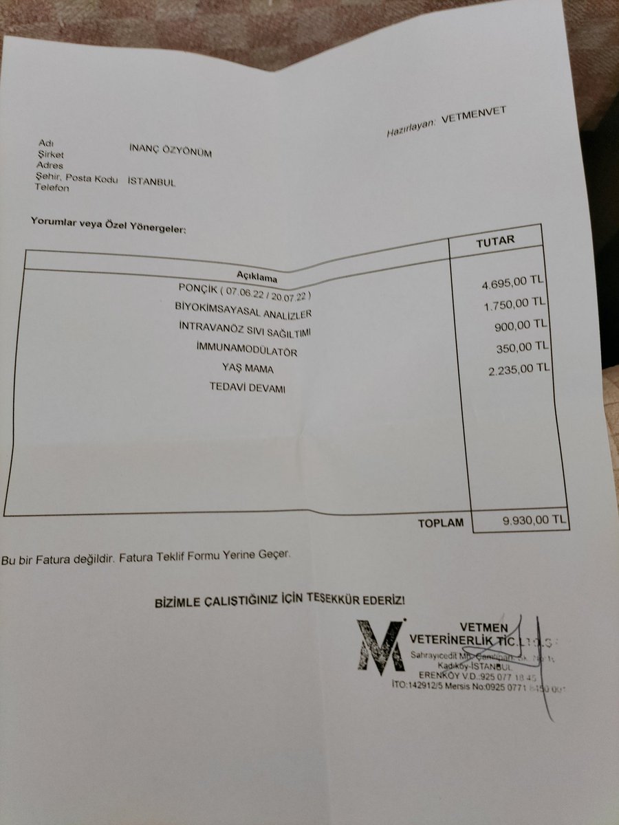 iibekar's tweet photo. Ponçik 8 hazirandan beri böbrek yetmezliği tedavisi görüyor..  3 doz kök hücre tedavisi denenmeye karar verildi..kök hücreler ile beraber toplam klinik borcu 20.000 TL civarında mücadelesi için desteğinize ihtiyacım var az da olsa destek olur musunuz ? Klinik IBAN verilecektir 🙏 https://t.co/AVtFxj5TY3