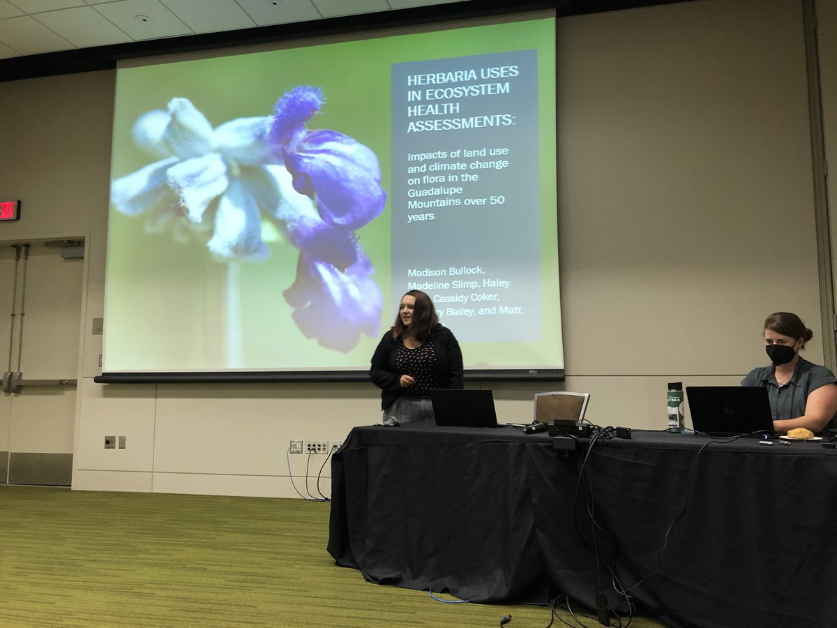 Matt Johnson, PhD (@mossmatters) on Twitter photo PhD Student <a href="/MadiRaiBullock/">Madison Bullock</a> killed it at her first in person conference talk! We’re excited to bring conservation genetics into the Angiosperms353 age with our botanical time machine (the herbarium) #botany2022 PhD Student <a href="/MadiRaiBullock/">Madison Bullock</a> killed it at her first in person conference talk! We’re excited to bring conservation genetics into the Angiosperms353 age with our botanical time machine (the herbarium) #botany2022