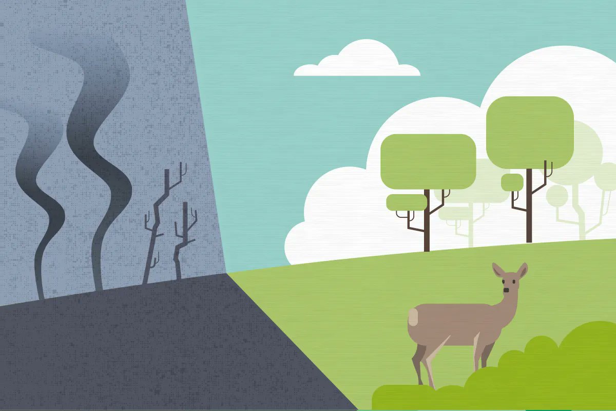 Hablemos de economía local mirando hacia la reforestación de los bosques:
- contribuye a la absorción del CO2 de la atmósfera
- mejora la salud de las personas
- protege la biodiversidad y
- potencia el desarrollo económico local y arraigado.
buff.ly/3J9kJwJ