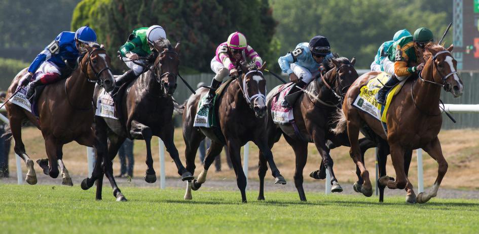 AdolphsonRacing's tweet photo. NATIONS PRIDE @godolphin, STONE AGE @Ballydoyle & CLASSIC CAUSEWAY @KennyMcPeek top 13 invites to the 2nd leg of @TheNYRA’s #TurfTriple, the G1 $1 million Saratoga Derby (August 6).
📸@EclipseSports https://t.co/Obl7KV3bgk