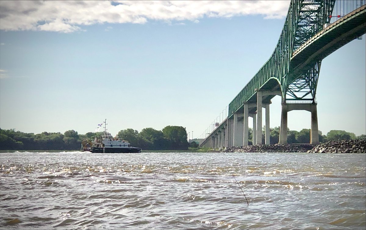 GRIL_Limnologie's tweet photo. Le navire de recherche Lampsilis a quitté Trois-Rivières ce matin pour une mission scientifique! Surveillez le fleuve d'ici le 8 août!⚓️🛟🐟🔬 #Lampsilis #communautéFRQ @UQTR @MELCC_Qc @VilleTR @CRSNG @FRQ_NT @eaurobvq @RNCREQ @strategiessl @CentreDeclic @24hdescience @UMontreal https://t.co/iTNQQ4z8hb